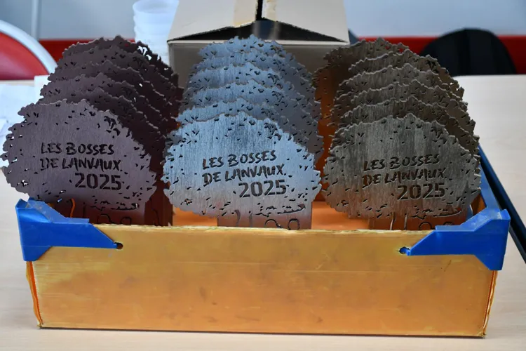 Les trophées attendent les coureurs (photo: P.Kauffer)